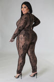 Georgia Pant Set Plus Size